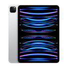 Apple iPad Pro 11.0 (4th Gen 2022)